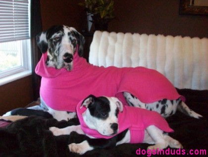 Dog Snuggie snuggie for dogs