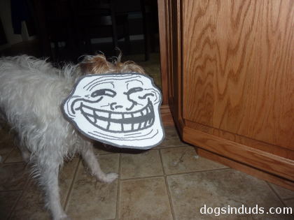 Trollface dog