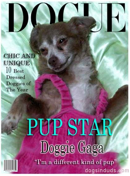 Lady Gaga dog