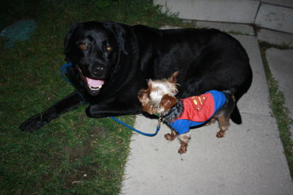 The Littlest Superman