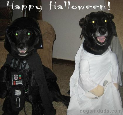 dath vader dogs costume, princess lea dog costume, star wars dog costume, starwars dog costume, funny, lab