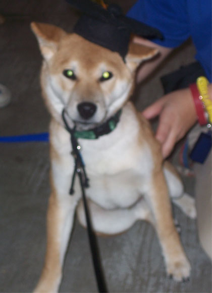 Aj the grad