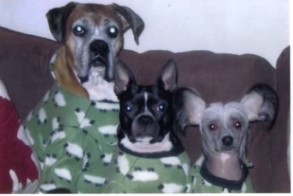 the three amigos