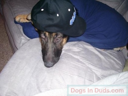 Arrow wearing a hat