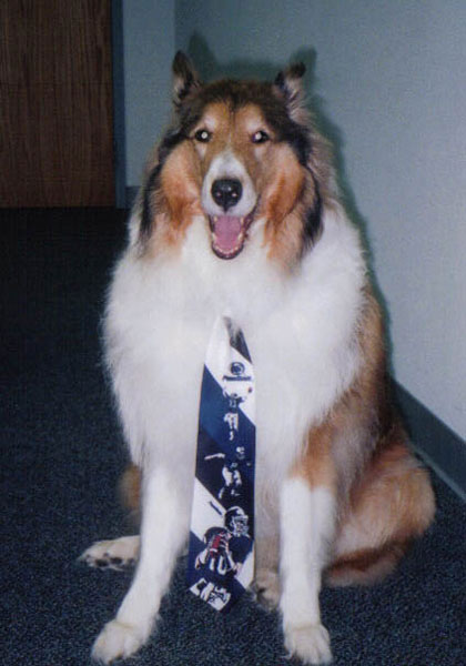 aspen is taking care of business