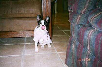 Bailey