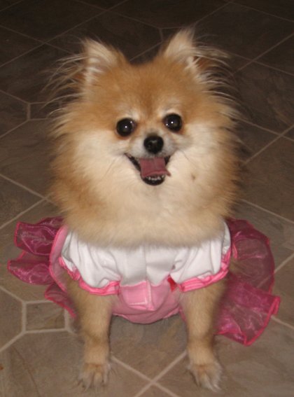 bailey cotton