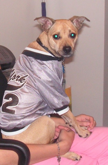 baxter