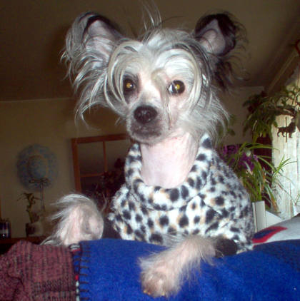 bed-head.jpg