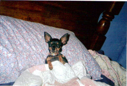 ready for her bed time story