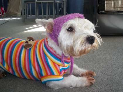 betsy boo