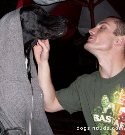Adam's Big Black Son Big Black Dog Great Dane