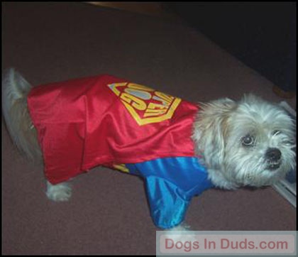Super Billy