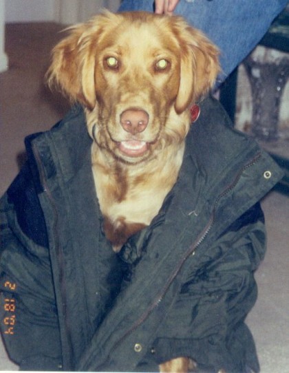 buster