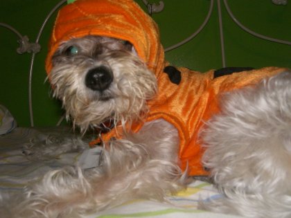 chuci