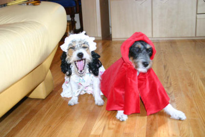 jacks in costumes