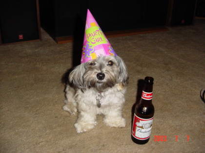 daisey's bday