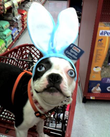 easter spuds
