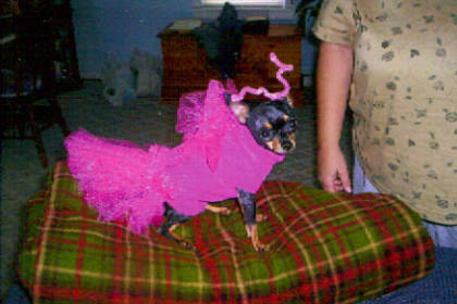 fairy costume