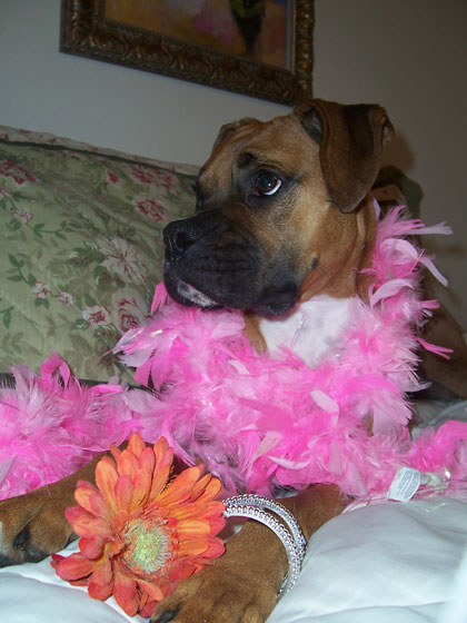 roxy is fabolous