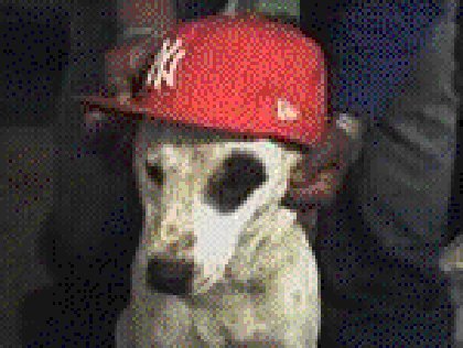gangsta bubba