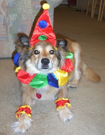 gozo the clown