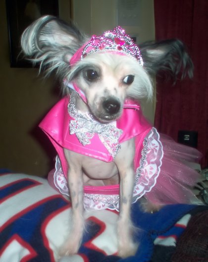 gracie party princess