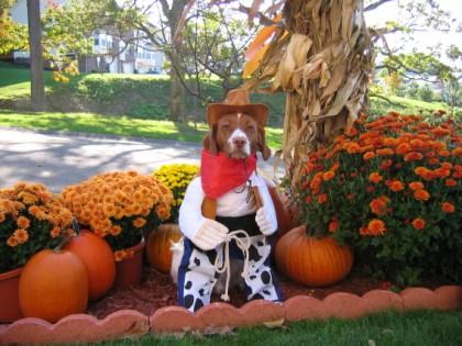 gunner the lone ranger