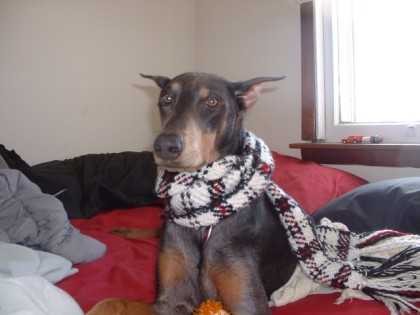 haze with a scarf