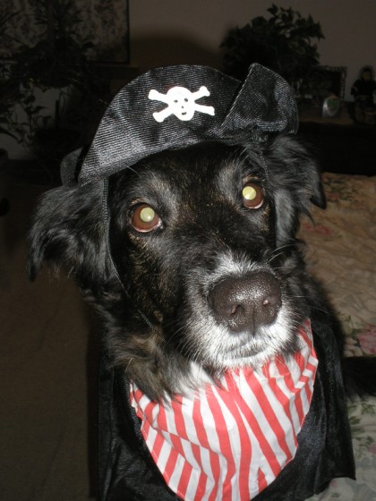 yarr