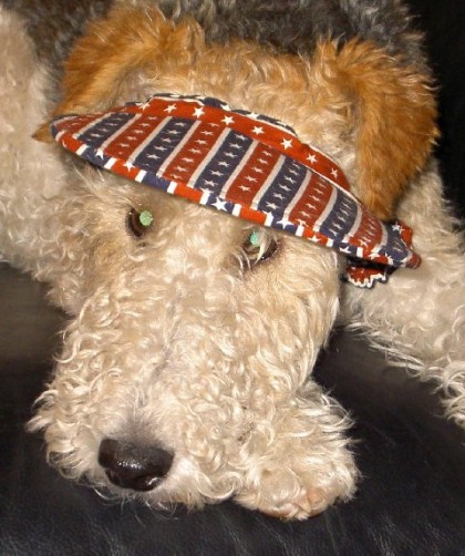 jaxx the poker dealer jaxx the poker dealer