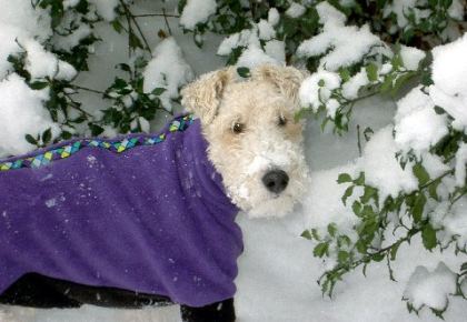 jaxx stayin warm
