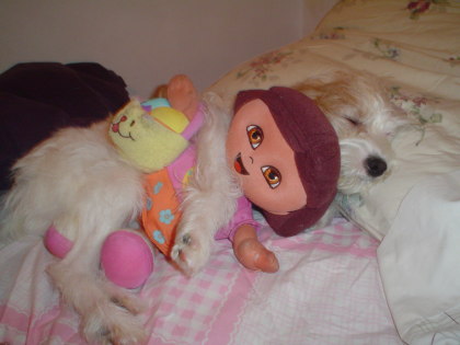 killed by dora