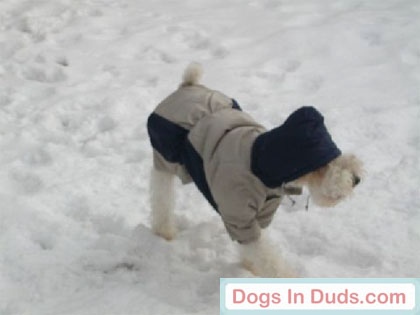 Kirby in a parka