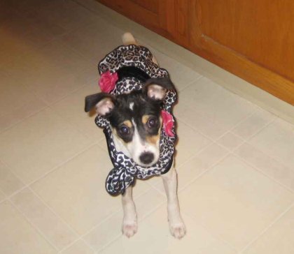 lacey in her new dress