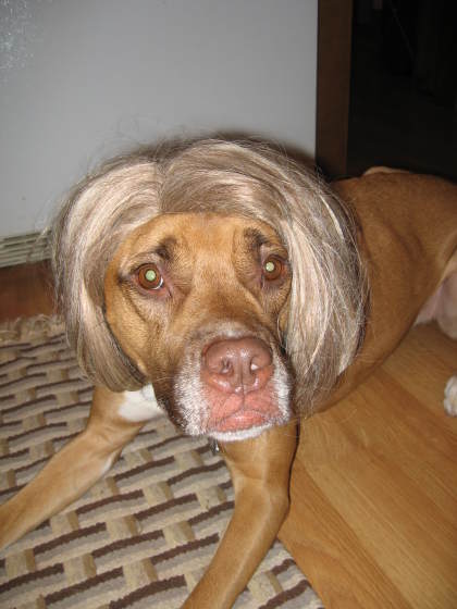 re: McCain Advisor Calls Tina Fey's Portrayal of Sarah Palin Disrespectful!