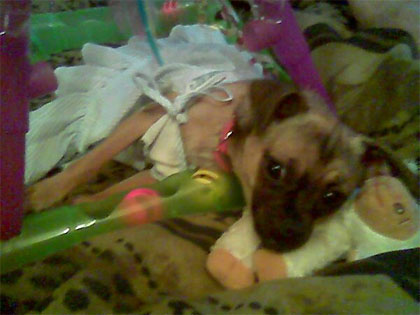 lola trying to catch some zzzz's