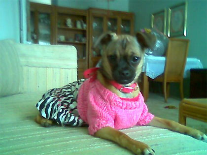 lola at moms