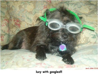lucy in goggles