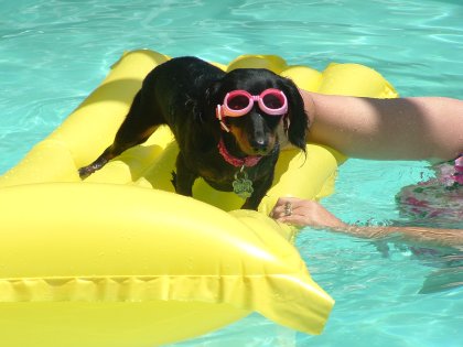 lucy in goggles