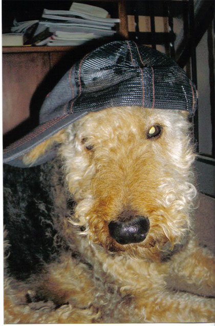 Lucy aint no holla back guuurl!