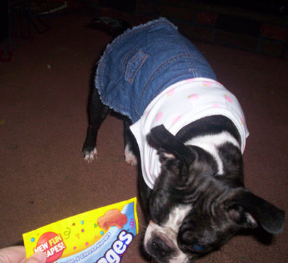 lulu in denim