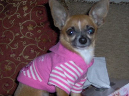 maggie