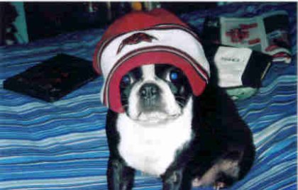 maggie in a tuque