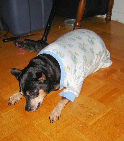 major in his sleepers