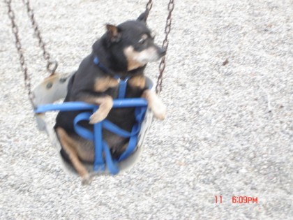 major swinging around