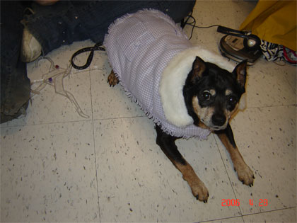 major in a coat