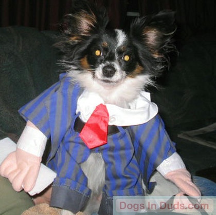 Mini - Dog Clothes