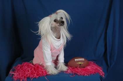 mootsie the model