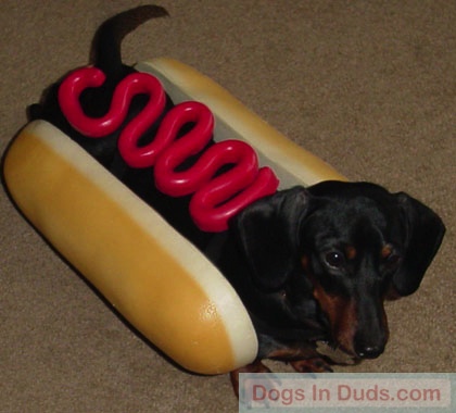 Nate Dog